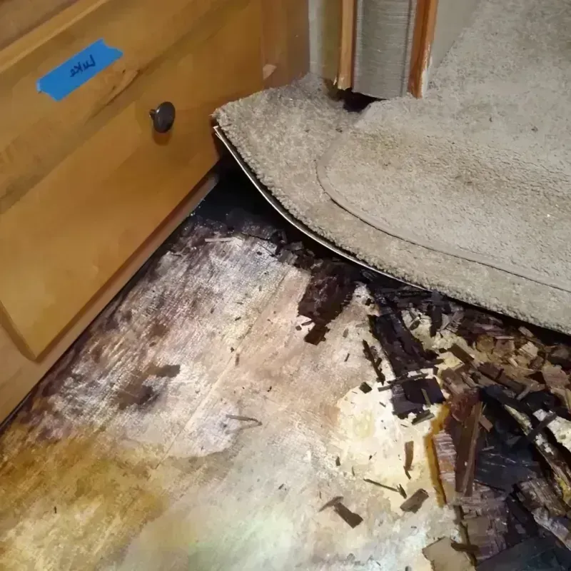 Wood Floor Water Damage in Lafayette County, MO